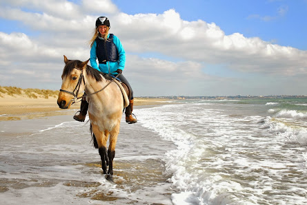 Studland Trekking Centre thumb 3